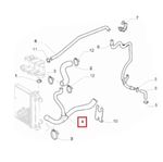 17184544925048