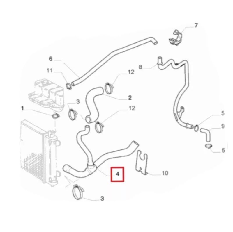 17184544925048