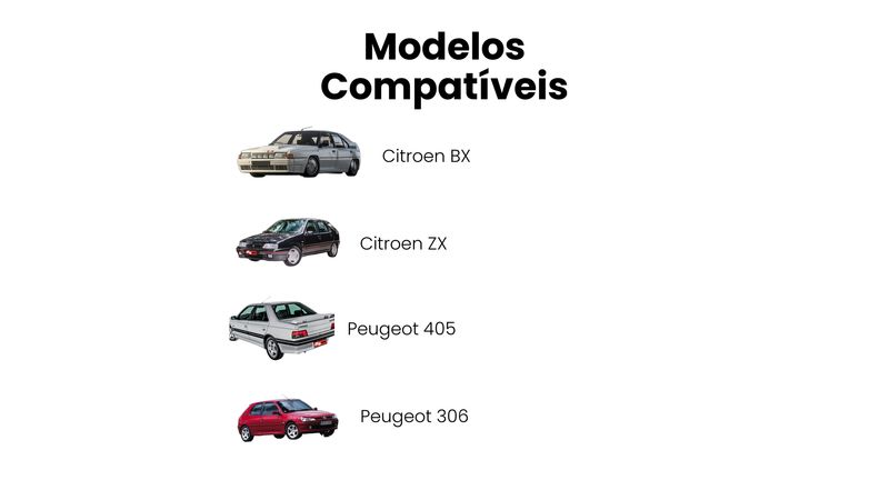 Junta Homocinética Fixa Citroen BX ZX Peugeot 405 306 Partne