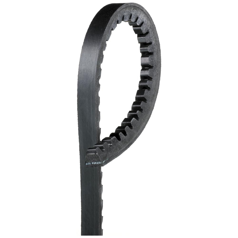 Correia V - Gates - 7364