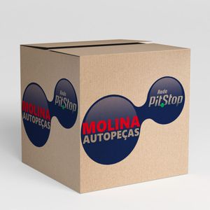 Md173 - Kit Mola Patim Freio 2Roda Ben - Pampa / Belina 4X4 - Mastermol