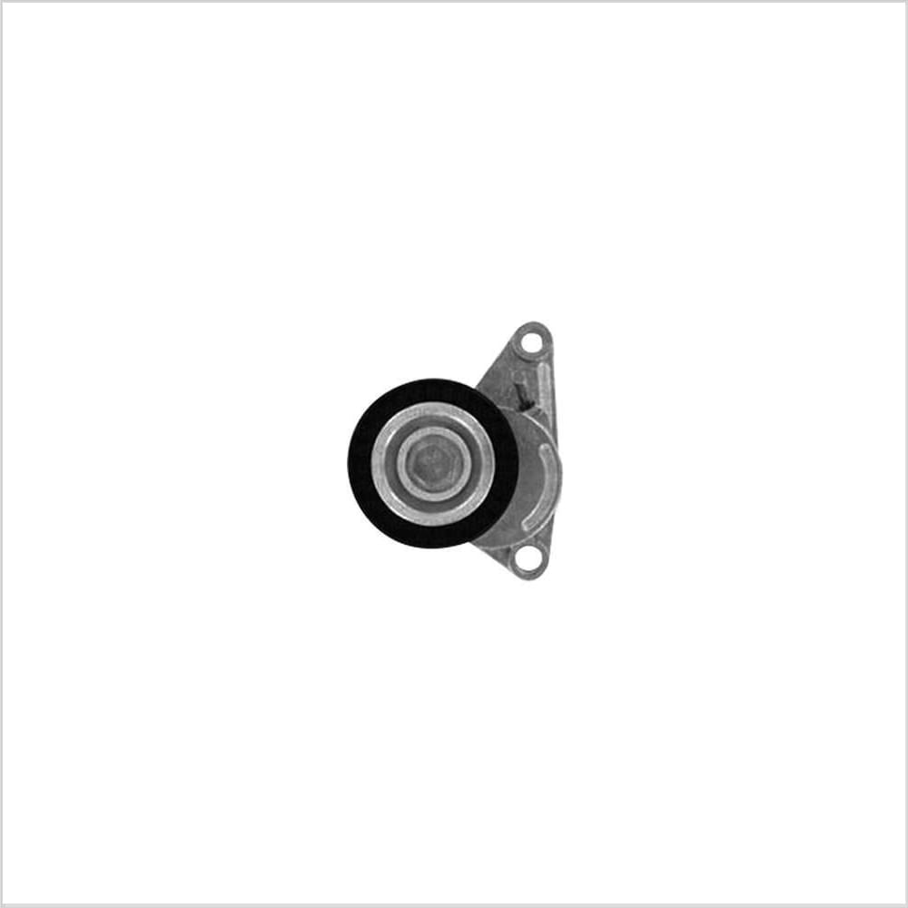 Tensionador Skf Vkm 33074
