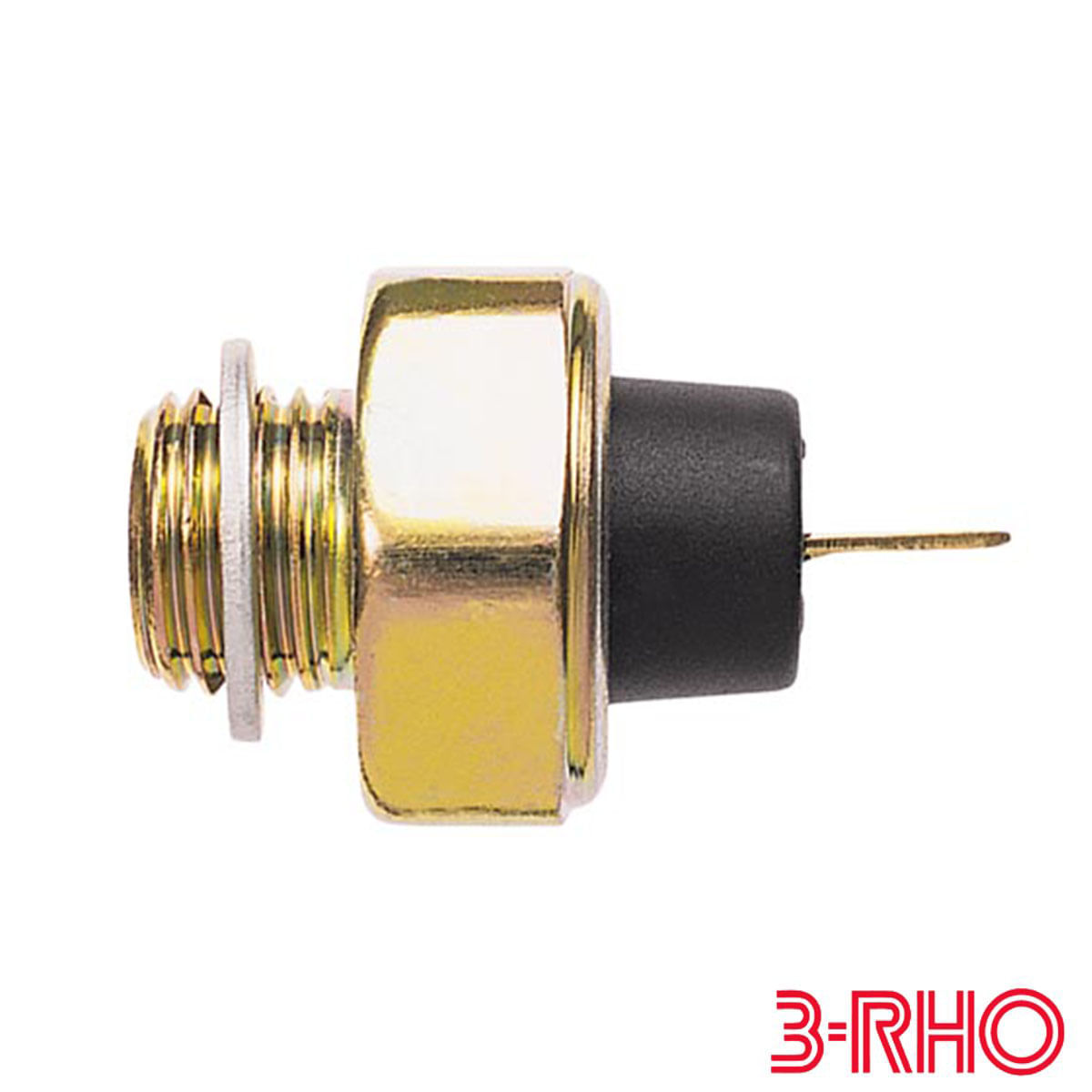 16988047289531.jpg?v=