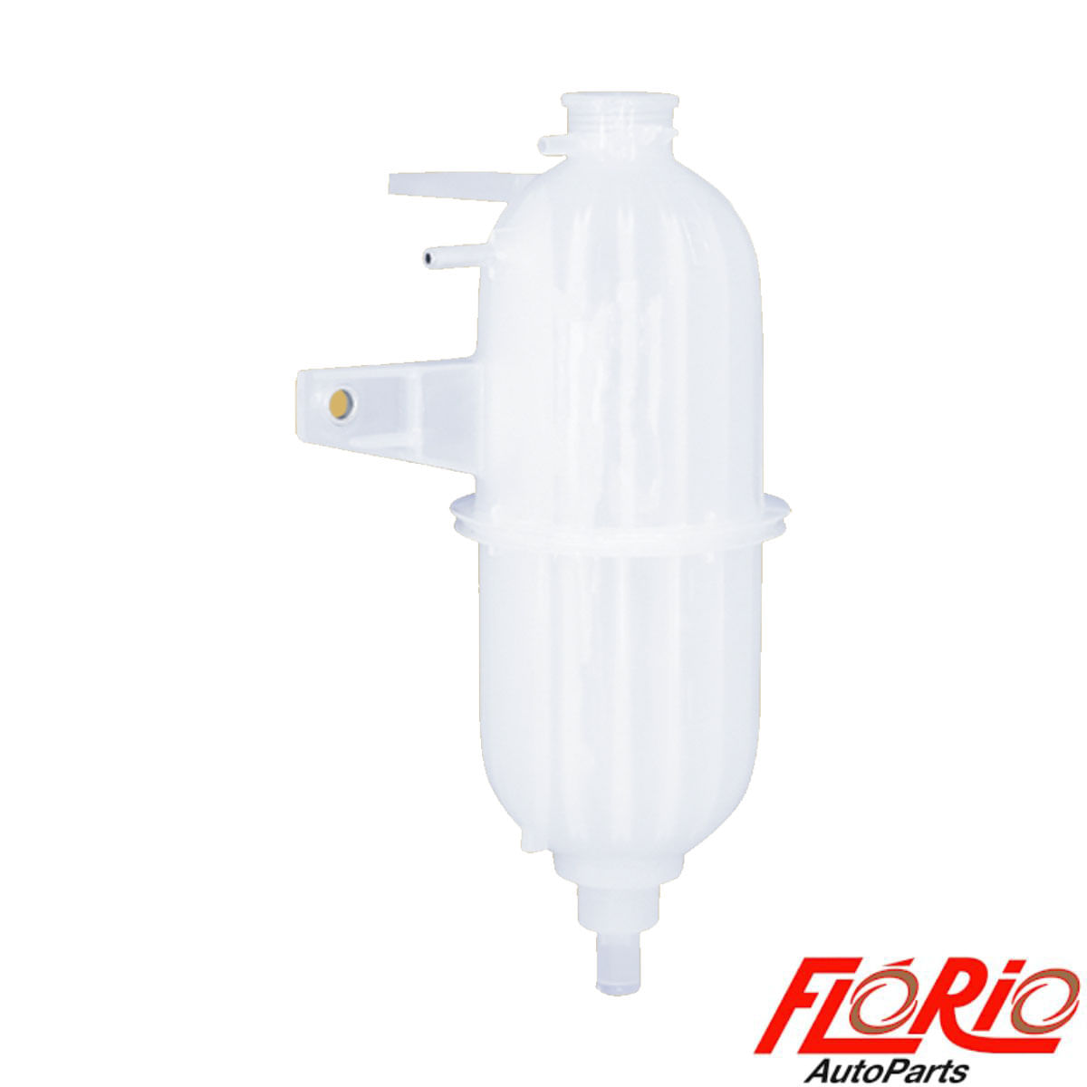 17066428105069.jpg?v=