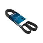 Correia-Acessorios-Cobalt-Spin-Poly-V-1770Mm-Dayco-5Pk1770